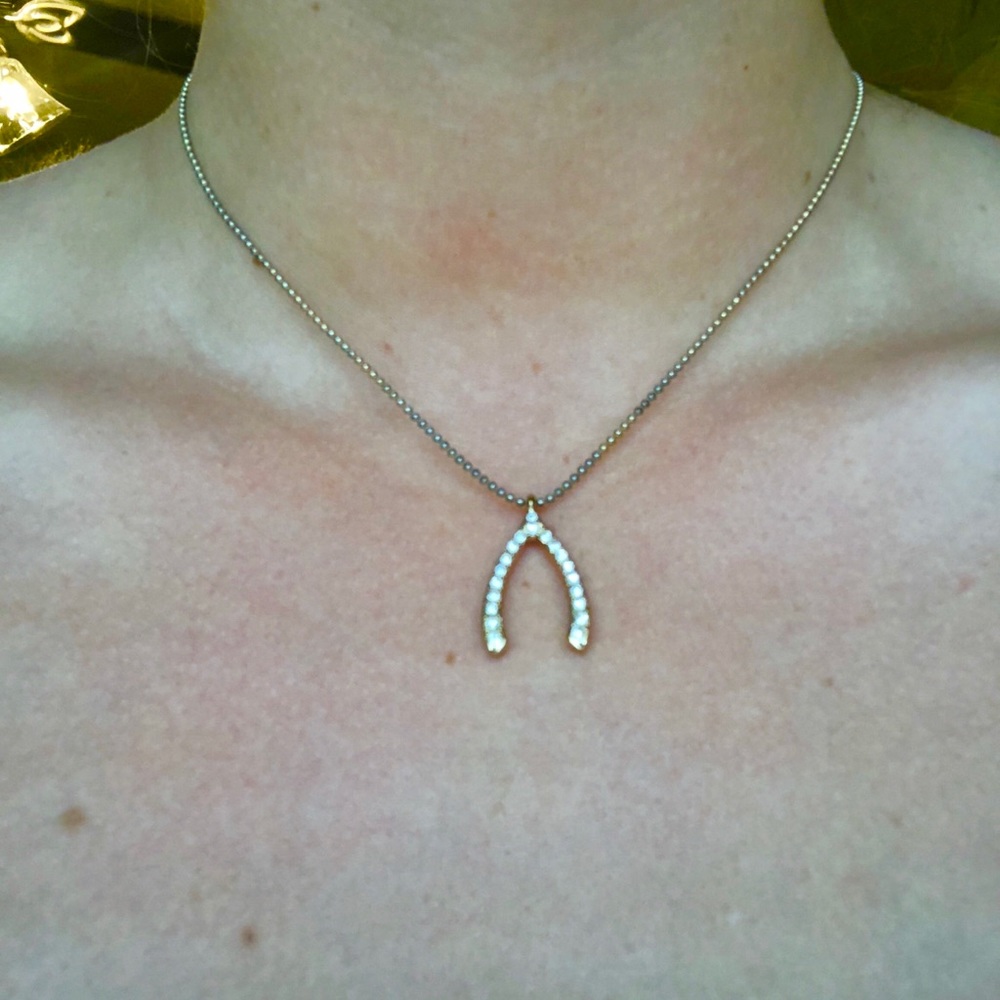 Charming Charlie wishbone necklace